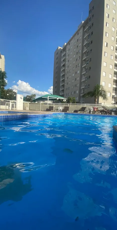 imagem 1 - Apartamento para Venda no Jardim Nova Europa, Campinas/SP imagem 1 - Apartamento para Venda no Jardim Nova Europa, Campinas/SP