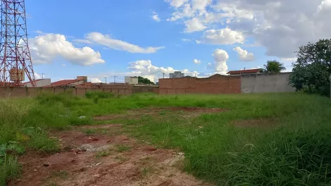 imagem 4 - Terreno comercial, com excelente localização, próximo a supermercados e escolas. imagem 4 - Terreno comercial, com excelente localização, próximo a supermercados e escolas.