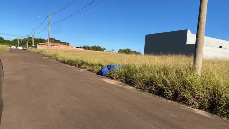 imagem 3 - Terreno - Padrão imagem 3 - Terreno - Padrão