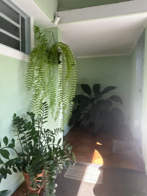 imagem 2 - Casa - Padrão imagem 2 - Casa - Padrão