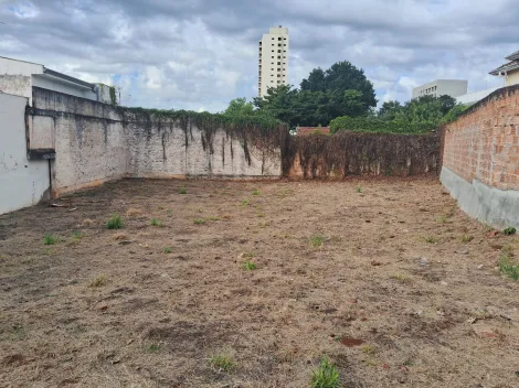 imagem 4 - Terreno residencial ou comercial com localização espetacular imagem 4 - Terreno residencial ou comercial com localização espetacular