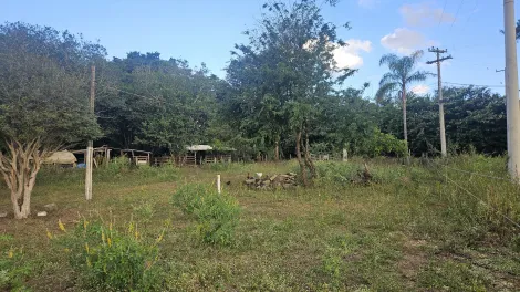 imagem 4 - Rural - Chácara imagem 4 - Rural - Chácara