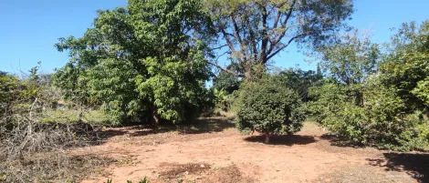 imagem 1 - Rural - Chácara imagem 1 - Rural - Chácara