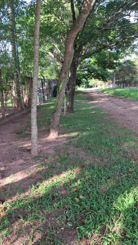 imagem 2 - Rural - Área imagem 2 - Rural - Área