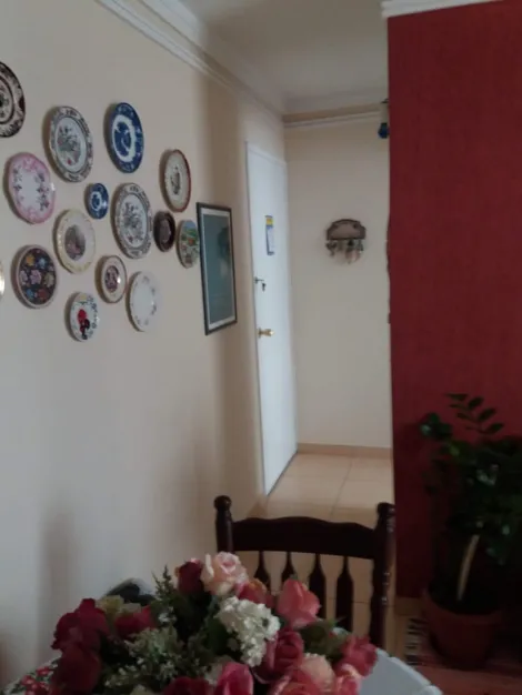 imagem 4 - Apartamento - Padrão imagem 4 - Apartamento - Padrão