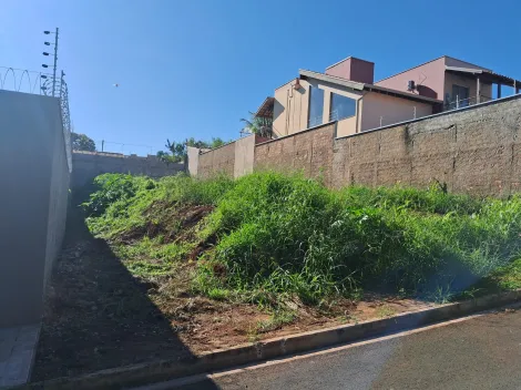 imagem 2 - Terreno com caída favorável pronto para construir, ótima localização. imagem 2 - Terreno com caída favorável pronto para construir, ótima localização.
