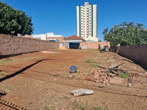 imagem 2 - Casa com amplo terreno de esquina, com localização privilegiada. imagem 2 - Casa com amplo terreno de esquina, com localização privilegiada.