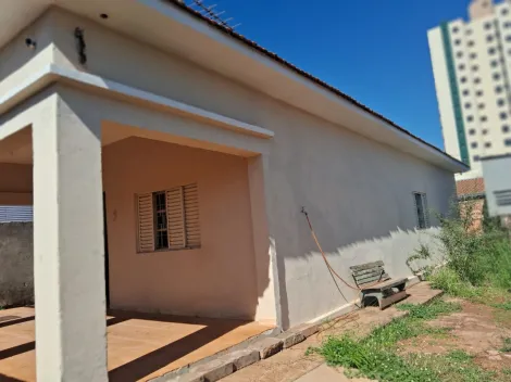 imagem 4 - Casa com amplo terreno de esquina, com localização privilegiada. imagem 4 - Casa com amplo terreno de esquina, com localização privilegiada.