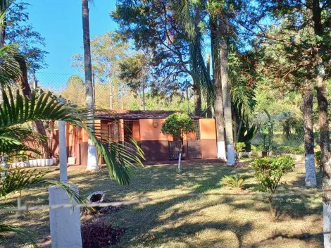 imagem 3 - Chácara localizada no bairro Recreio campestre bem perto do Posto Castelo antes do Pedágio. imagem 3 - Chácara localizada no bairro Recreio campestre bem perto do Posto Castelo antes do Pedágio.