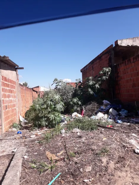 imagem 2 - Terreno - Padrão imagem 2 - Terreno - Padrão