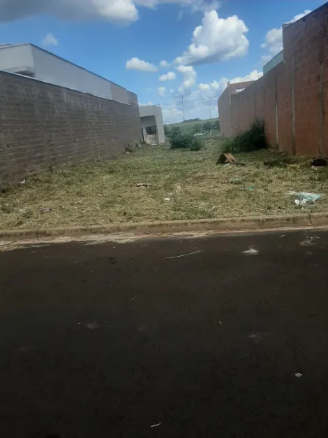 imagem 1 - Terreno com boa localização, próximo escola e creche. imagem 1 - Terreno com boa localização, próximo escola e creche.