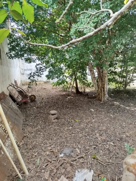 imagem 2 - Terreno - Padrão imagem 2 - Terreno - Padrão