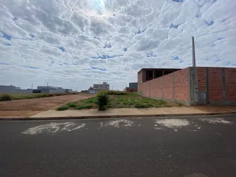 imagem 1 - lote no Arcoville em São Carlos - SP com 240m², excelente lote imagem 1 - lote no Arcoville em São Carlos - SP com 240m², excelente lote