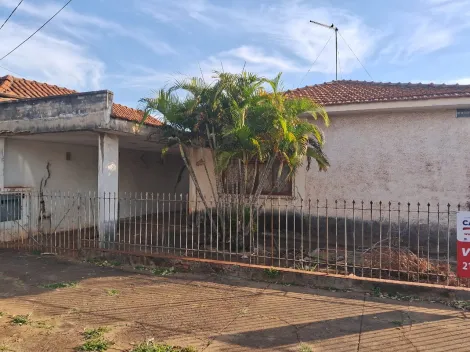 imagem 5 - Casa de esquina com localização espetacular, ao lado da Av 36. imagem 5 - Casa de esquina com localização espetacular, ao lado da Av 36.