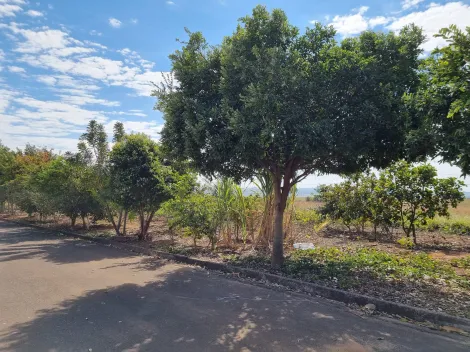 imagem 3 - TERRENO Á VENDA imagem 3 - TERRENO Á VENDA