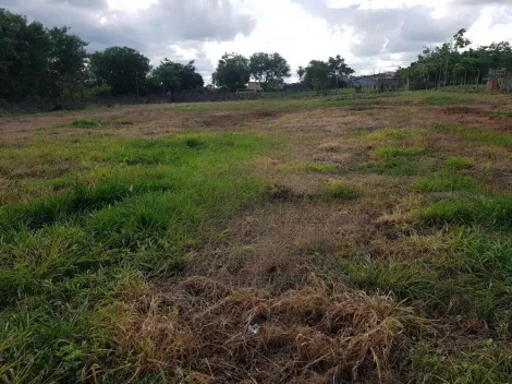 imagem 1 - Terreno de 3.087m² disponível para locação - Vila Virgínia imagem 1 - Terreno de 3.087m² disponível para locação - Vila Virgínia