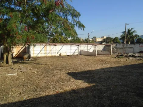 imagem 5 - Terreno 1.330,00m²,  disponível para locação / Bairro Vila Virgínia, Ribeirão Preto imagem 5 - Terreno 1.330,00m²,  disponível para locação / Bairro Vila Virgínia, Ribeirão Preto