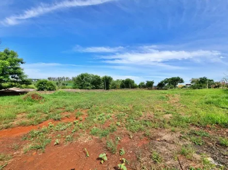 imagem 3 - Terreno 4.750,00m² disponível para locação / Bairro Vila Virgínia, Ribeirão Preto imagem 3 - Terreno 4.750,00m² disponível para locação / Bairro Vila Virgínia, Ribeirão Preto