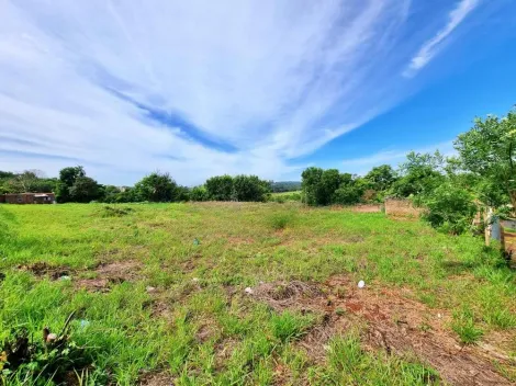 imagem 5 - Terreno 4.750,00m² disponível para locação / Bairro Vila Virgínia, Ribeirão Preto imagem 5 - Terreno 4.750,00m² disponível para locação / Bairro Vila Virgínia, Ribeirão Preto