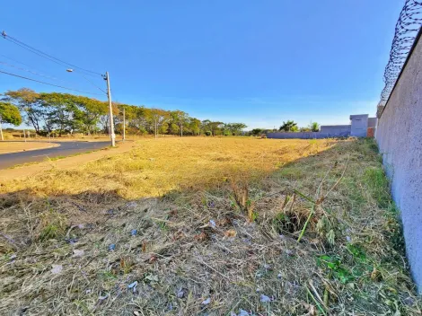 imagem 5 - Terreno padrão de 3.633m² disponível para locação - Jardim Florestan Fernandes imagem 5 - Terreno padrão de 3.633m² disponível para locação - Jardim Florestan Fernandes