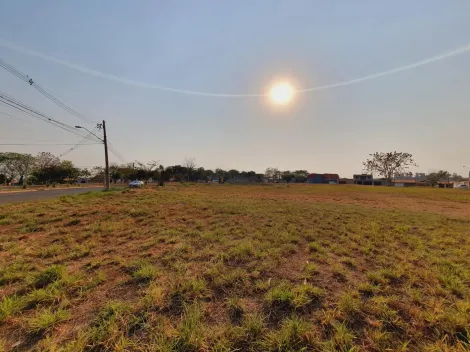 imagem 1 - Terreno de 475m² disponível para locação - Jardim Doutor Paulo Gomes Romeo imagem 1 - Terreno de 475m² disponível para locação - Jardim Doutor Paulo Gomes Romeo