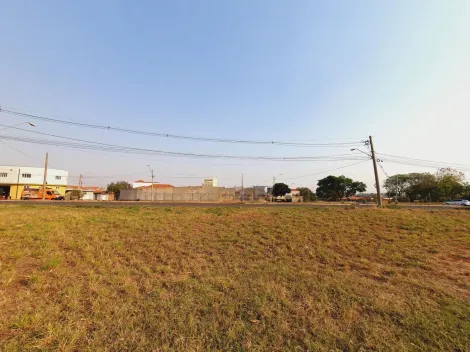 imagem 3 - Terreno de 475m² disponível para locação - Jardim Doutor Paulo Gomes Romeo imagem 3 - Terreno de 475m² disponível para locação - Jardim Doutor Paulo Gomes Romeo