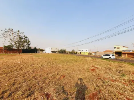 imagem 5 - Terreno de 475m² disponível para locação - Jardim Doutor Paulo Gomes Romeo imagem 5 - Terreno de 475m² disponível para locação - Jardim Doutor Paulo Gomes Romeo