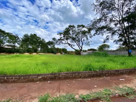 imagem 3 - Terreno de 4.230m² disponível para locação e venda - Recreio Das Acácias imagem 3 - Terreno de 4.230m² disponível para locação e venda - Recreio Das Acácias