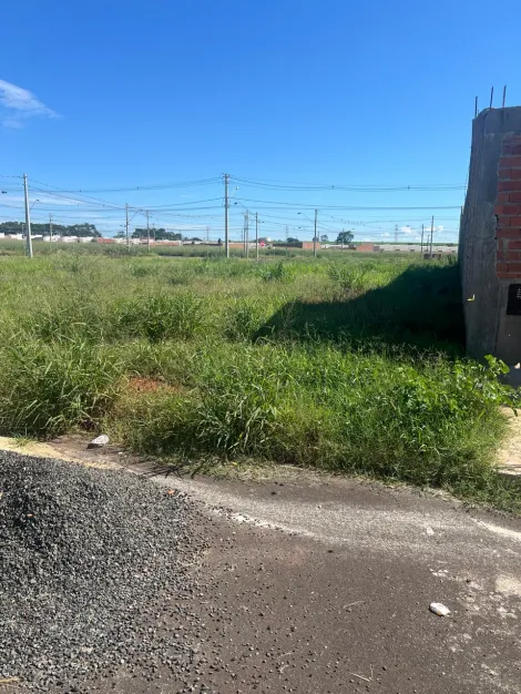 imagem 2 - Terreno 1.215,00m² disponível para locação /Bairro Jardim Regatas, Ribeirão Preto imagem 2 - Terreno 1.215,00m² disponível para locação /Bairro Jardim Regatas, Ribeirão Preto