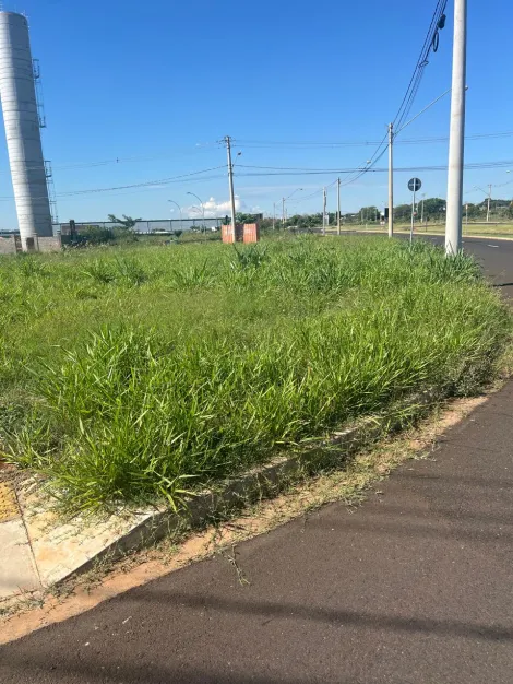 imagem 5 - Terreno 1.215,00m² disponível para locação /Bairro Jardim Regatas, Ribeirão Preto imagem 5 - Terreno 1.215,00m² disponível para locação /Bairro Jardim Regatas, Ribeirão Preto