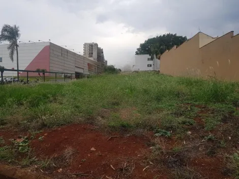 imagem 2 - Terreno 507,00 m² disponível para locação  / Bairro City Ribeirão imagem 2 - Terreno 507,00 m² disponível para locação  / Bairro City Ribeirão