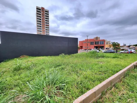 imagem 5 - Terreno - Padrão imagem 5 - Terreno - Padrão