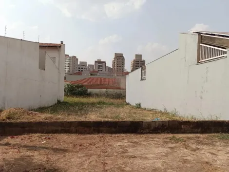 imagem 1 - Terreno de 250m² disponível para locação - Nova Ribeirânia imagem 1 - Terreno de 250m² disponível para locação - Nova Ribeirânia