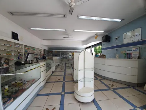 imagem 3 - Comercial - Padrão imagem 3 - Comercial - Padrão