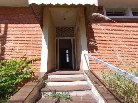 imagem 1 - Casa padrão de 450m² com 03 quartos sendo 01 suíte para locação - Jardim Sumare imagem 1 - Casa padrão de 450m² com 03 quartos sendo 01 suíte para locação - Jardim Sumare