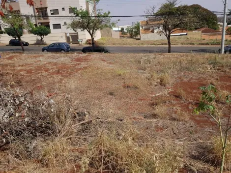 imagem 5 - Terreno 250,00 m² disponível para locação  / Bairro Jardim Botânico, Ribeirão Preto imagem 5 - Terreno 250,00 m² disponível para locação  / Bairro Jardim Botânico, Ribeirão Preto