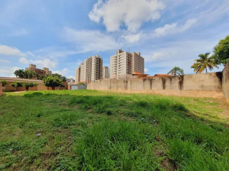 imagem 3 - Terreno padrão de 836m² disponível para locação - Ribeirânia. imagem 3 - Terreno padrão de 836m² disponível para locação - Ribeirânia.