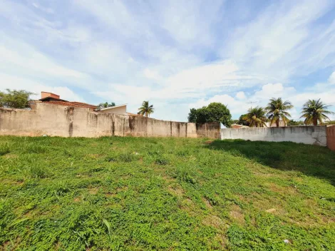 imagem 5 - Terreno padrão de 836m² disponível para locação - Ribeirânia. imagem 5 - Terreno padrão de 836m² disponível para locação - Ribeirânia.