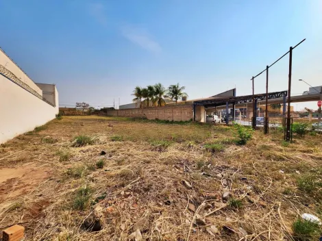 imagem 5 - Terreno 1.762,00 m² disponível para locação /Bairro Independência, Ribeirão Preto/SP imagem 5 - Terreno 1.762,00 m² disponível para locação /Bairro Independência, Ribeirão Preto/SP