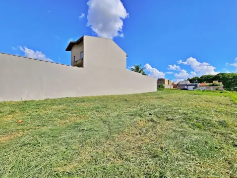 imagem 3 - Terreno de 300m² disponível para locação - Vila Ana Maria imagem 3 - Terreno de 300m² disponível para locação - Vila Ana Maria
