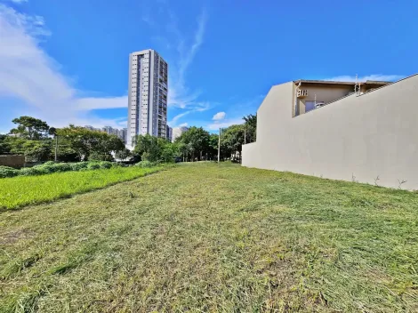 imagem 5 - Terreno de 300m² disponível para locação - Vila Ana Maria imagem 5 - Terreno de 300m² disponível para locação - Vila Ana Maria