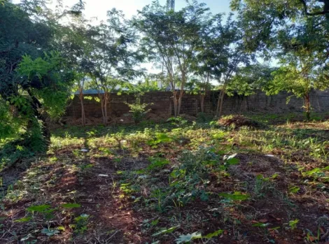 imagem 4 - Terreno de 3.000m² disponível para locação - Ribeirânia imagem 4 - Terreno de 3.000m² disponível para locação - Ribeirânia