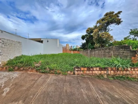 imagem 1 - Terreno de 300m² disponível para locação - Jardim Califórnia imagem 1 - Terreno de 300m² disponível para locação - Jardim Califórnia