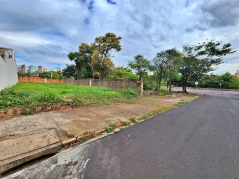 imagem 3 - Terreno de 300m² disponível para locação - Jardim Califórnia imagem 3 - Terreno de 300m² disponível para locação - Jardim Califórnia