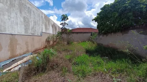 imagem 1 - Terreno - Padrão imagem 1 - Terreno - Padrão