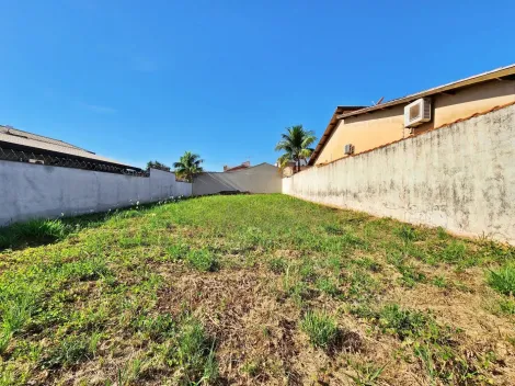 imagem 1 - Terreno - Padrão imagem 1 - Terreno - Padrão
