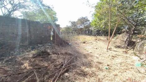 imagem 3 - Terreno de 4.989m² para locação e venda - Parque dos Pinus imagem 3 - Terreno de 4.989m² para locação e venda - Parque dos Pinus
