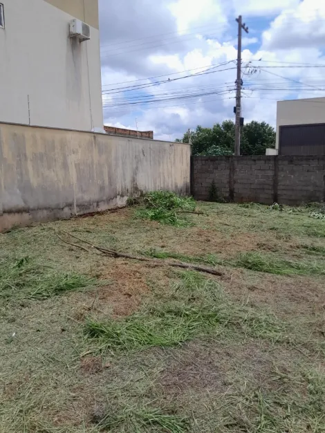 imagem 1 - Terreno de 336m² disponível para locação - Residencial e Comercial Palmares imagem 1 - Terreno de 336m² disponível para locação - Residencial e Comercial Palmares