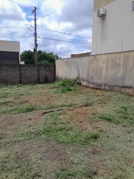 imagem 2 - Terreno de 336m² disponível para locação - Residencial e Comercial Palmares imagem 2 - Terreno de 336m² disponível para locação - Residencial e Comercial Palmares