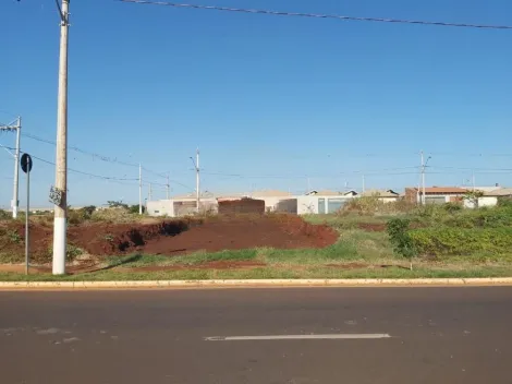 imagem 1 - Terreno de 240m² disponível para locação - Cristo Redentor. imagem 1 - Terreno de 240m² disponível para locação - Cristo Redentor.